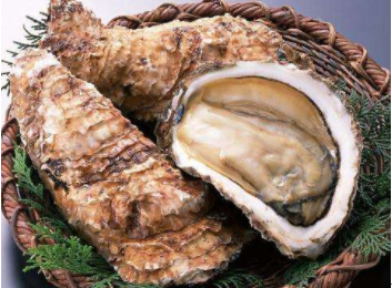 黄精牡蛎固体饮料代加工德州健之源