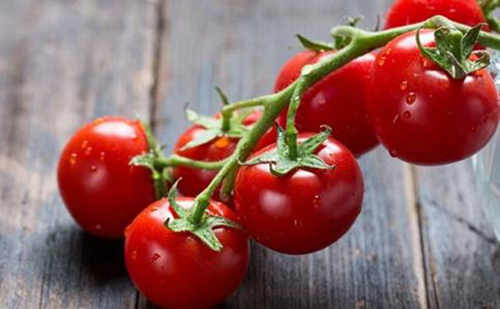 番茄红素压片糖果代加工_片剂oem_德州健之源