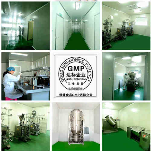 GMP认证车间以及生产设备-中国德州健之源