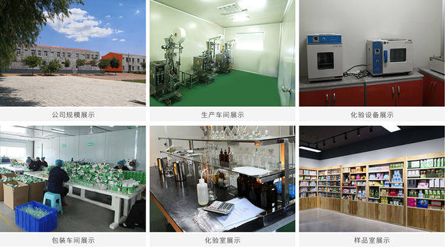 益生菌代加工厂家厂区以及设备-德州健之源